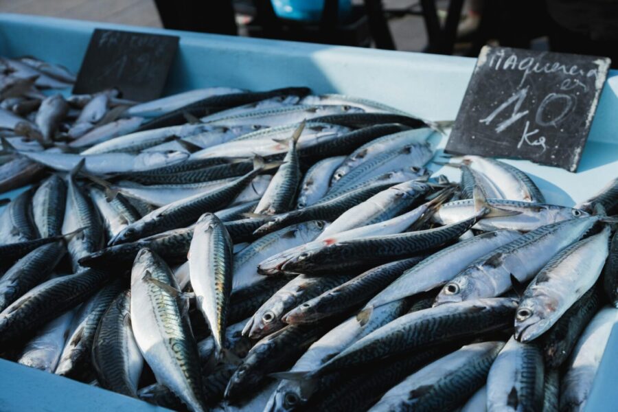 A variety of fresh mackerel on display at an open-air market. Perfect for culinary and fish cuisine themes.
