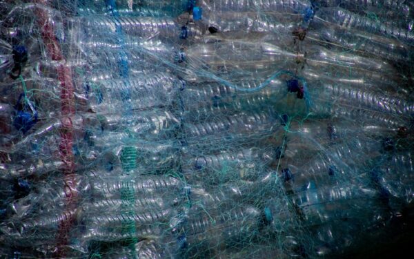 Neišmeskite plastikinių butelių: štai kaip jie virsta nemokama ir amžina šiltnamio danga