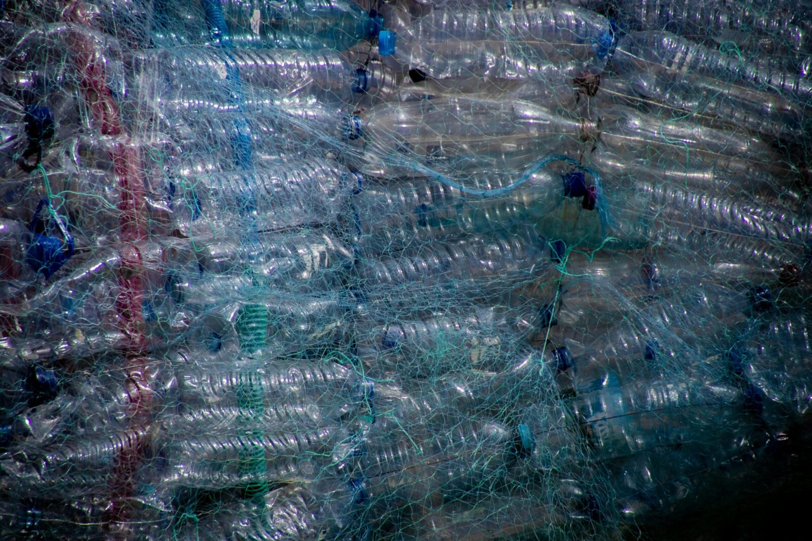Neišmeskite plastikinių butelių: štai kaip jie virsta nemokama ir amžina šiltnamio danga