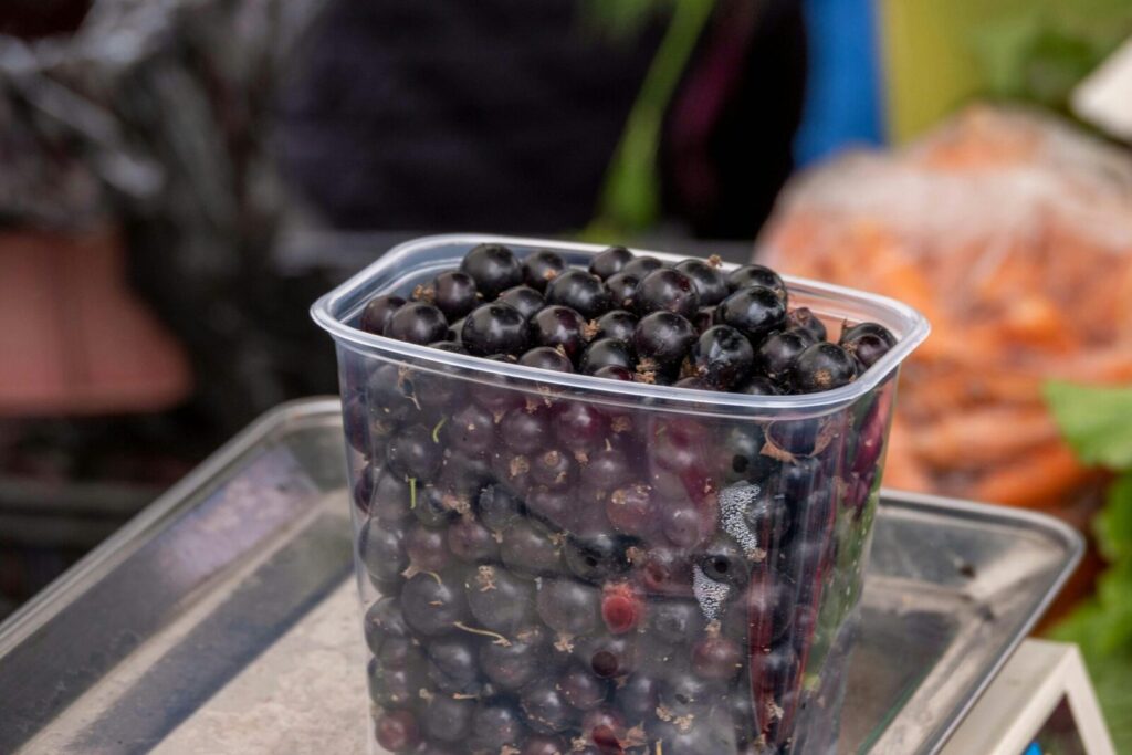 Close-up of fresh blackcurrants in a clear plastic container at a market stand.