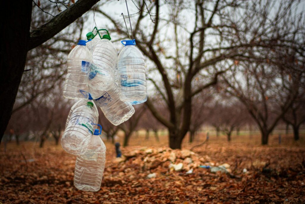 Plastic bottles hanging from a tree amidst fallen leaves symbolize environmental pollution.