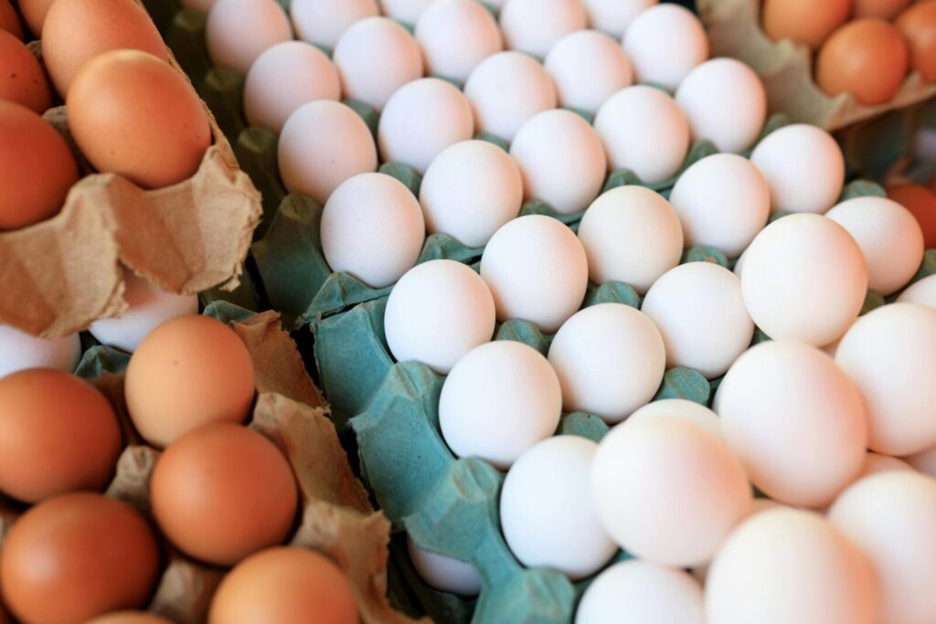 Close-up image of brown and white eggs arranged in cartons, showcasing natural food variety.