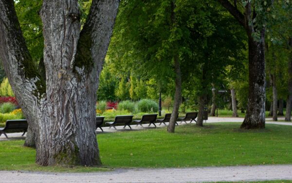 Miestai virsta krosnimis: kodėl naujas takas parke gali netyčia dar labiau pakaitinti orą?