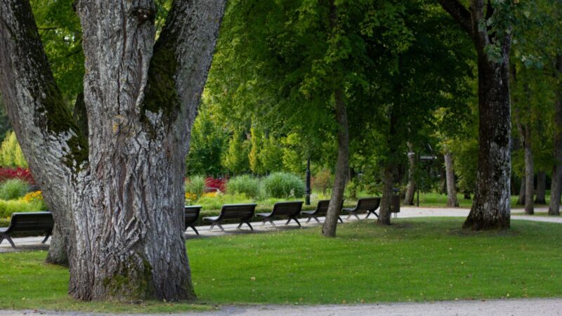 Miestai virsta krosnimis: kodėl naujas takas parke gali netyčia dar labiau pakaitinti orą?