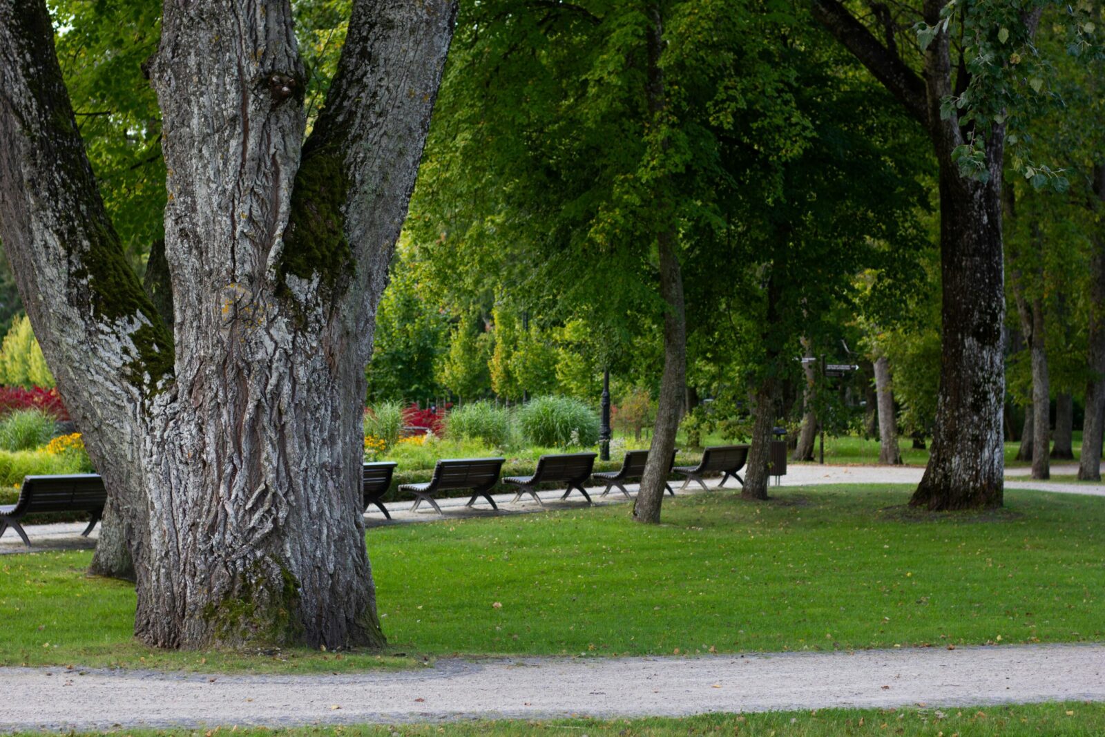 Miestai virsta krosnimis: kodėl naujas takas parke gali netyčia dar labiau pakaitinti orą?
