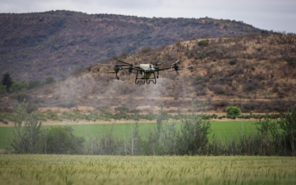 Išlaidos auga, nauda ne visada: kur mažame ūkyje dingsta pinigai?