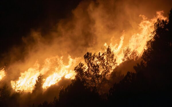 Kalifornijoje liepsnoja 1400 ha miškų: evakuacija gresia netoli Los Andželo esančioms poilsio vietoms