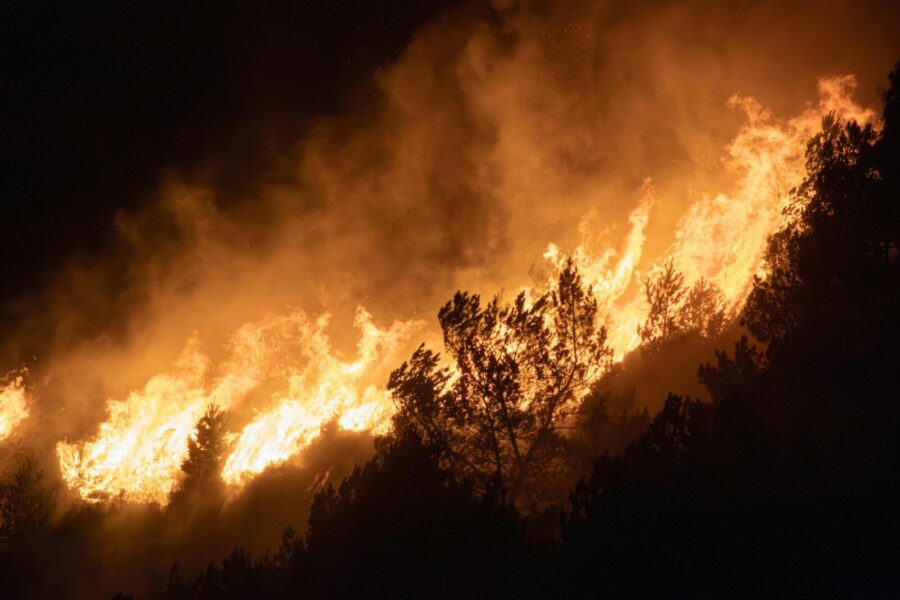 Intense wildfire consuming forest trees at night, creating a dramatic and dangerous scene.