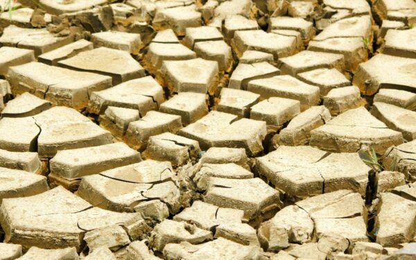 Bakterijos tampa nenugalimos: štai kaip sausros padeda joms pergudrauti stipriausius vaistus