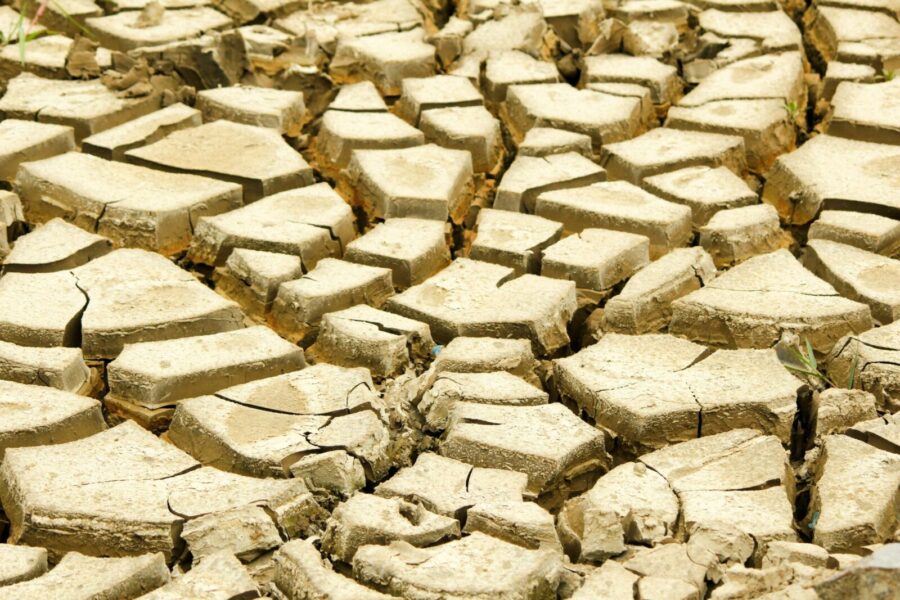 Close-up of a dry, cracked earth surface symbolizing severe drought conditions in nature.