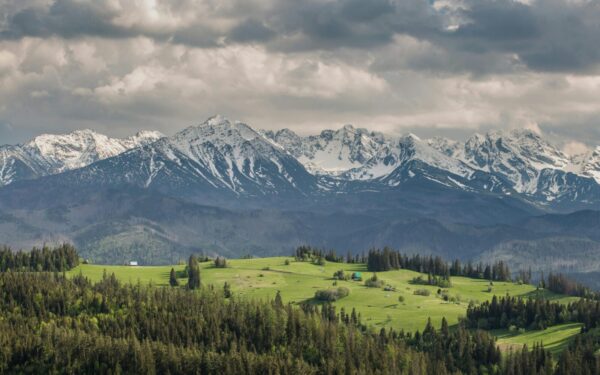 Tatrai nustebino mokslininkus: augalų dabar daugiau nei prieš 100 metų ir tam yra viena priežastis