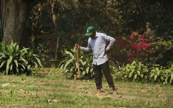 Dvi balandžio dienos, kai daržas nukenčia labiausiai: kodėl šiomis dienomis geriau nieko nesodinti?
