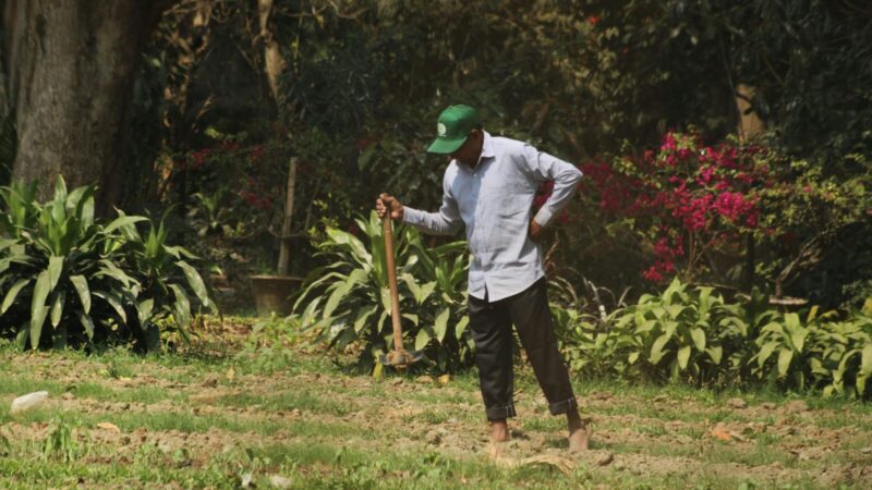 Dvi balandžio dienos, kai daržas nukenčia labiausiai: kodėl šiomis dienomis geriau nieko nesodinti?