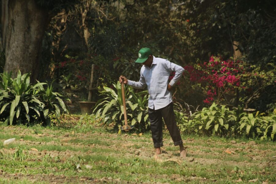 A gardener works barefoot in a vibrant outdoor garden, surrounded by greenery.