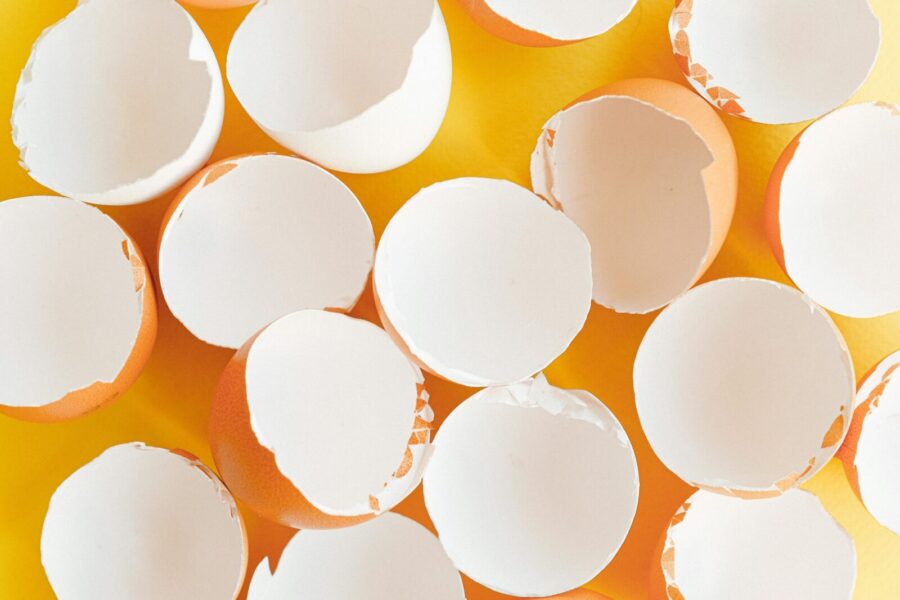 A top-down view of empty eggshells on a bright yellow surface, creating a minimalist aesthetic.