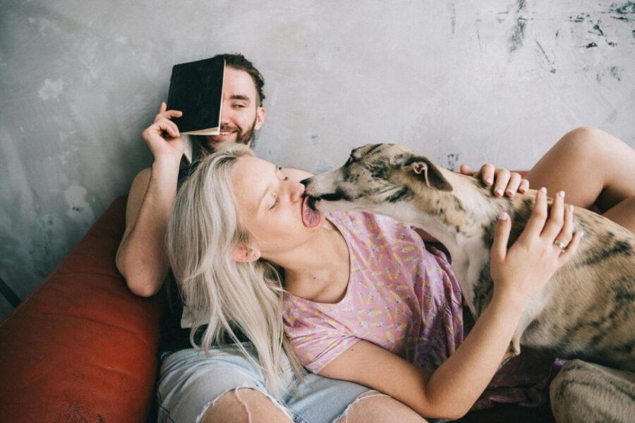 A happy couple enjoys bonding with their dog on a couch, showcasing relaxation and joy.