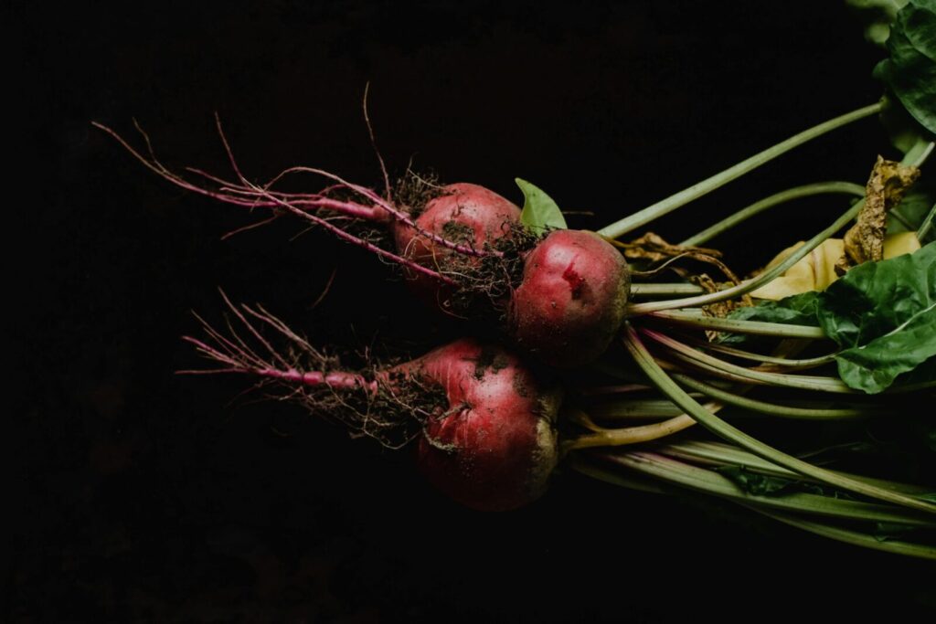 Close-up of fresh organic Chioggia beets with leaves against a black background, highlighting natural produce.