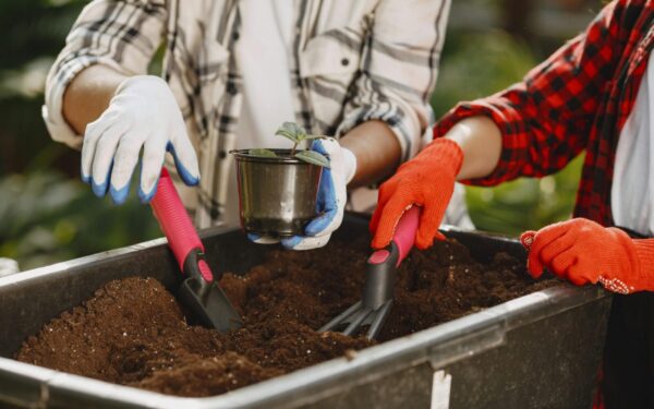 Artėja 3 dienos prieš Velykas, kai darže geriau nieko nedaryti: štai vienintelė taisyklė