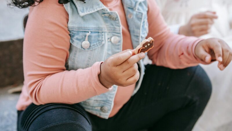 Vaikų nutukimas tampa didesne grėsme už badą: iki 2040 m. nutukusių vaikų bus 228 mln.