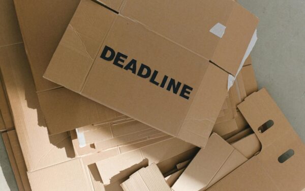 Vargina piktžolės darže? Ši viena nemokama priemonė padės jas pamiršti