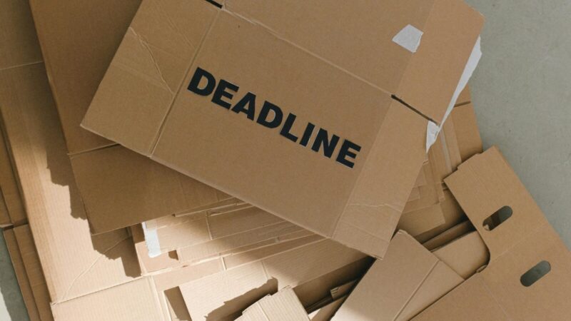 Vargina piktžolės darže? Ši viena nemokama priemonė padės jas pamiršti