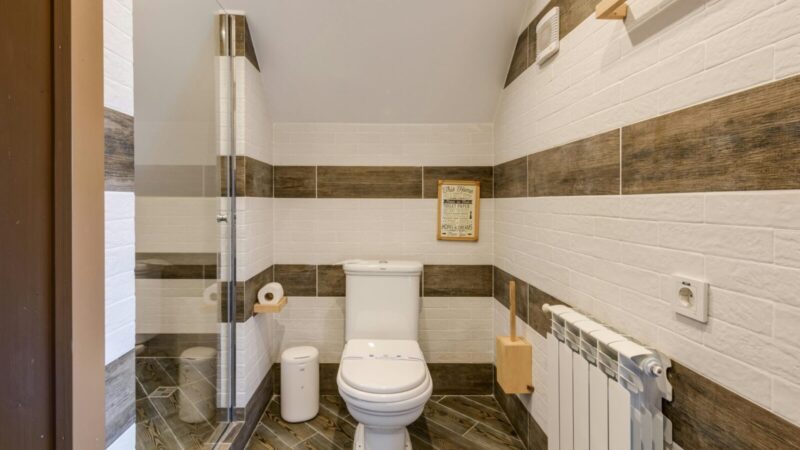 Dauguma turistų tualete daro klaidą: paaiškėjo, kodėl Japonijoje sėdama atvirkščiai