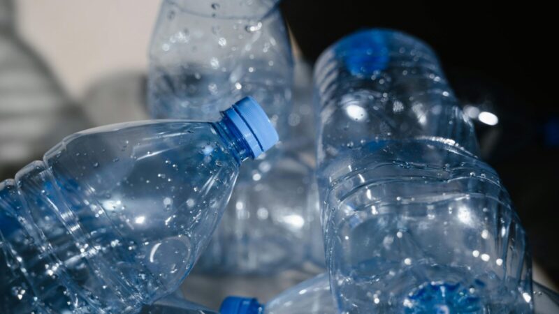 Visi juos išmeta be reikalo: atskleidė 3 genialius būdus, kaip panaudoti plastikinius butelius darže