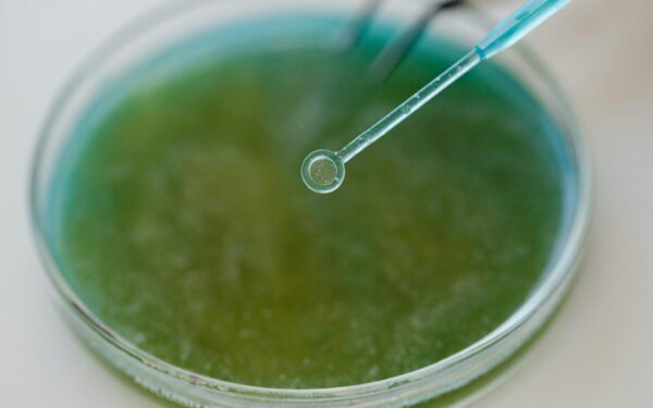 Ištveria 6000 kartų didesnę radiaciją nei žmogus: vandenyno gelmėse aptikta neįtikėtina gyvybė