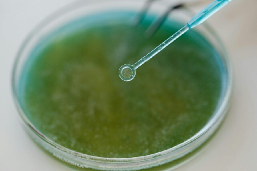 Detailed view of a pipette interacting with a green sample in a petri dish, ideal for scientific content.