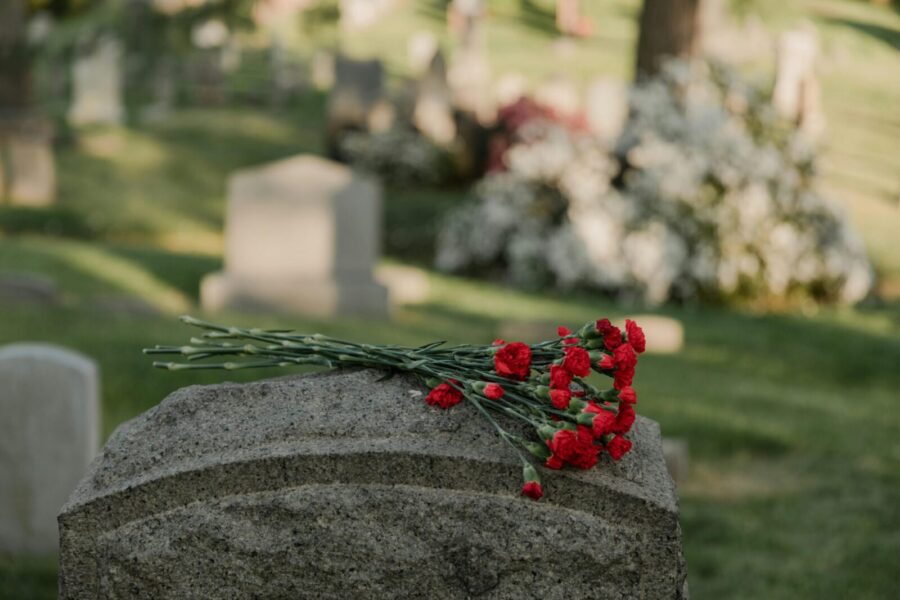 Red carnations placed on a headstone in a peaceful green cemetery during the day.