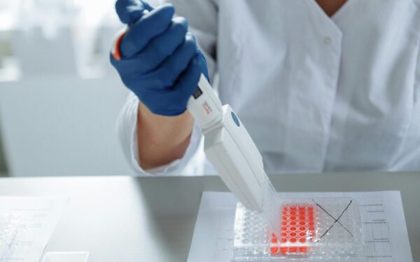 Skaudi šeimos praeitis: vokiečiai masiškai tikrinasi, ar jų giminėje buvo nacių