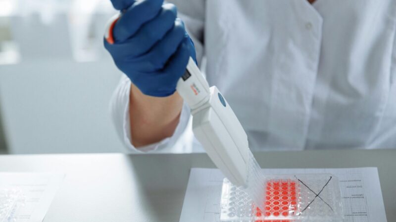 Skaudi šeimos praeitis: vokiečiai masiškai tikrinasi, ar jų giminėje buvo nacių