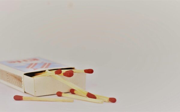 Jogurtas ir degtukai: keistas, bet veiksmingas derinys jūsų augalams atgaivinti