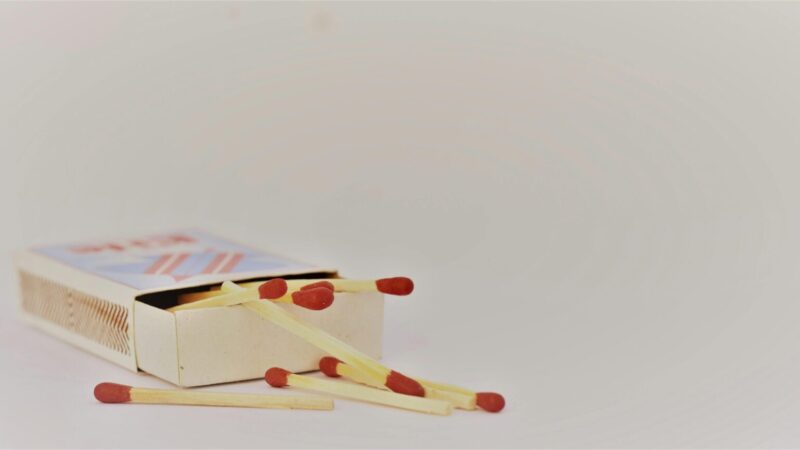 Jogurtas ir degtukai: keistas, bet veiksmingas derinys jūsų augalams atgaivinti