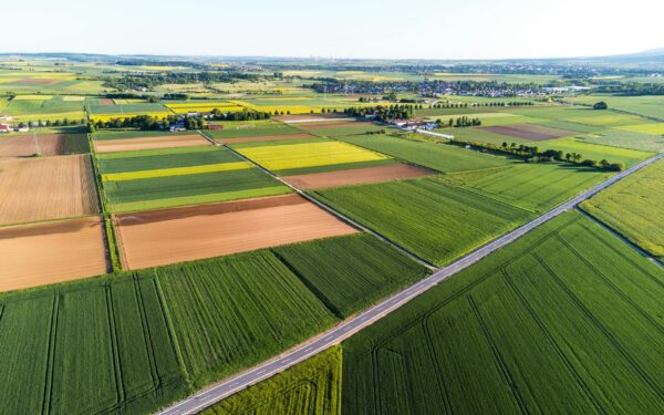 Svarbus terminas visiems ūkininkams: pavėlavus išmokos mažės, štai ką būtina žinoti