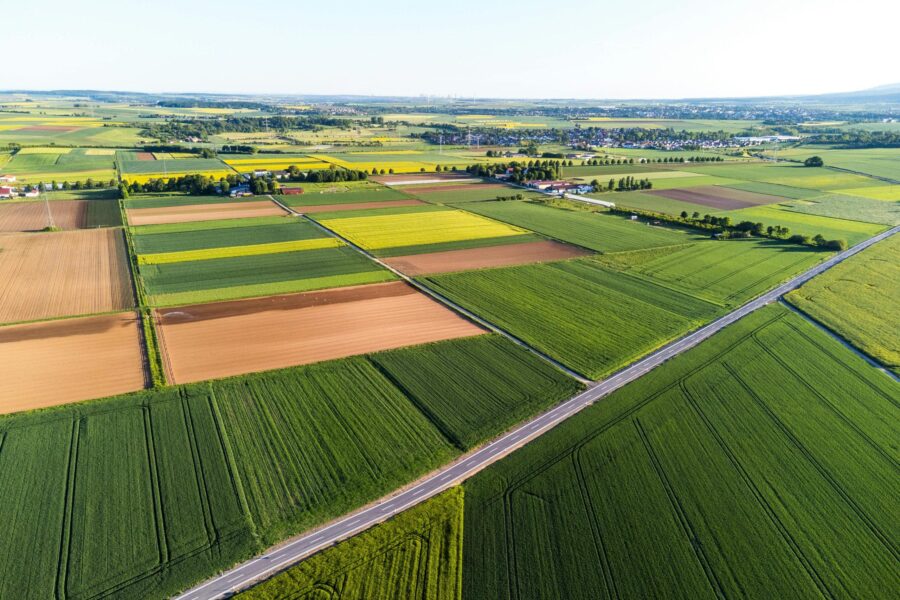 Svarbus terminas visiems ūkininkams: pavėlavus išmokos mažės, štai ką būtina žinoti