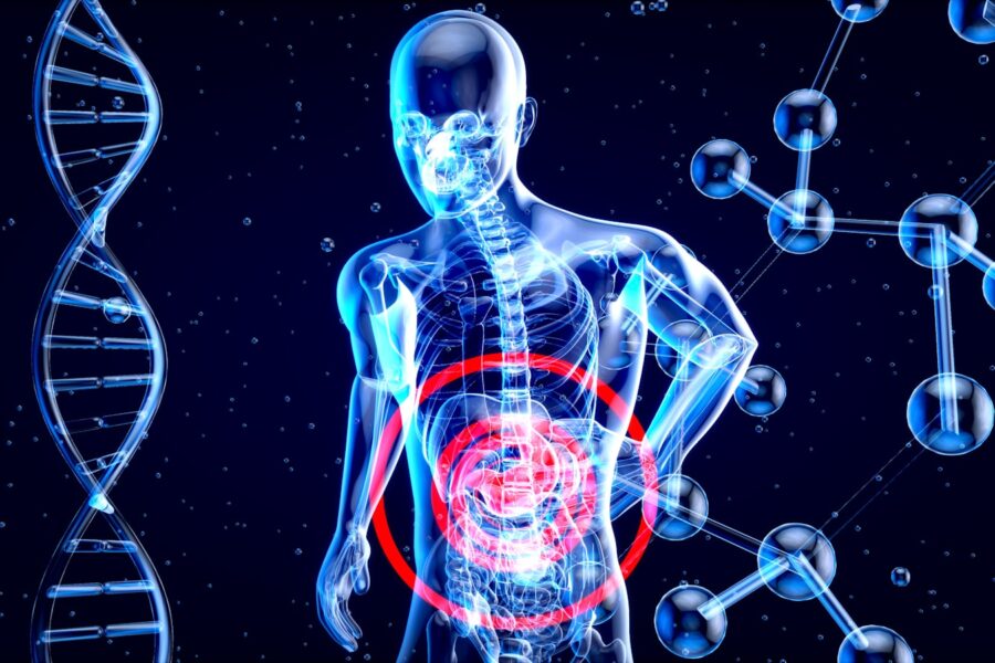 a 3d image of a human with a red circle in his stomach