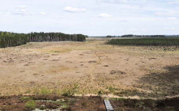 Kraują stingdančios istorijos: Dzūkijos miškai slepia daugiau nei legendas