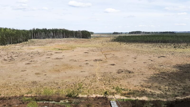 Kraują stingdančios istorijos: Dzūkijos miškai slepia daugiau nei legendas