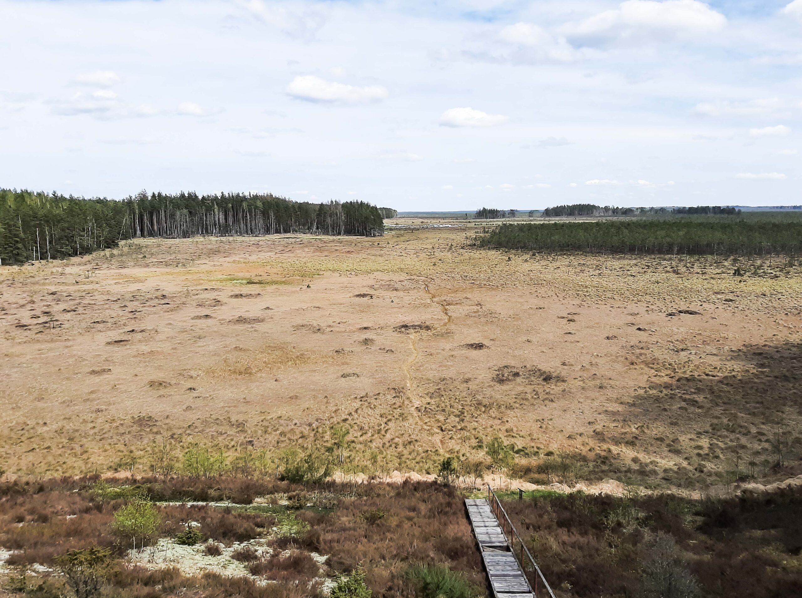 Kraują stingdančios istorijos: Dzūkijos miškai slepia daugiau nei legendas
