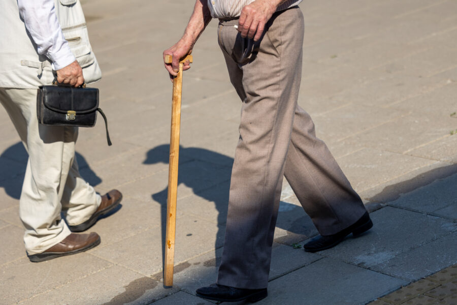 Senjoras. ELTA / Julius Kalinskas nuotr.