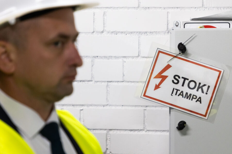 Elektra. ELTA / Dainius Labutis nuotr.