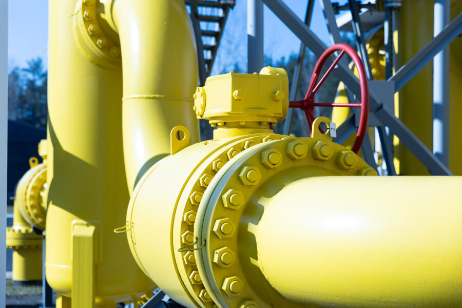 Dujotekis. ELTA / Dainius Labutis nuotr.