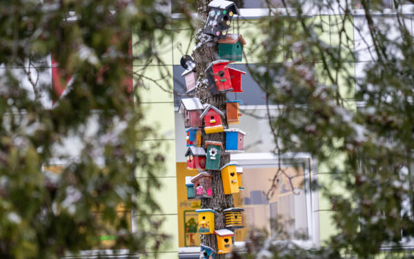 Molėtai ieško parduodamų butų: kokius būstus nupirks savivaldybė ir iki kada teikti paraiškas?