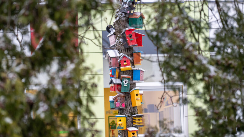 Molėtai ieško parduodamų butų: kokius būstus nupirks savivaldybė ir iki kada teikti paraiškas?