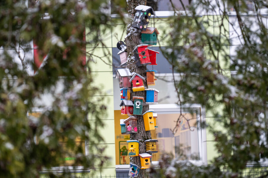 Molėtai. ELTA / Jonas Balčiūnas