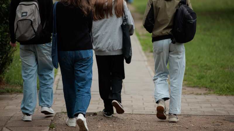 Kas slepiasi po lengvai suprantamos kalbos terminu: kodėl ji svarbi daugeliui gyventojų?