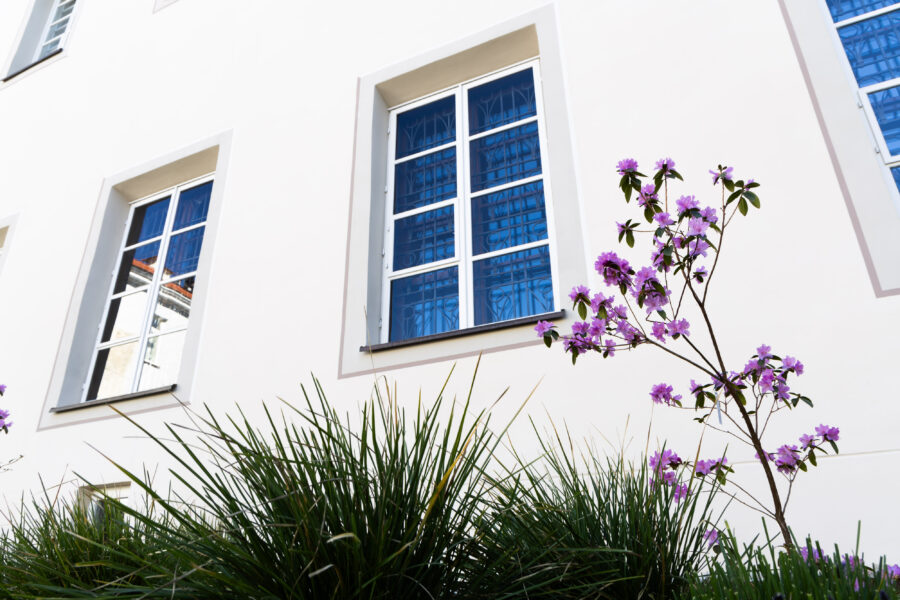 Pavasaris. ELTA / Dainius Labutis nuotr.