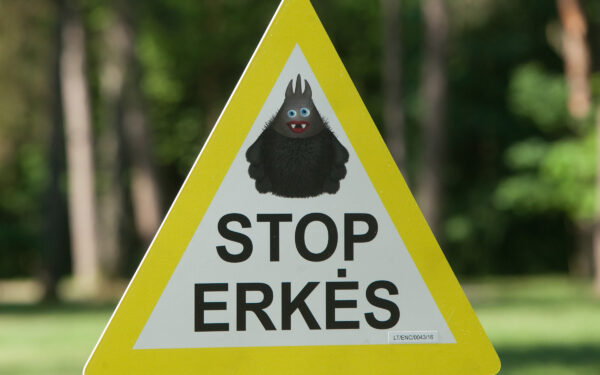 Nuo metų pradžios Lietuvoje užregistruota daugiau nei 340 Laimo ligos atvejų