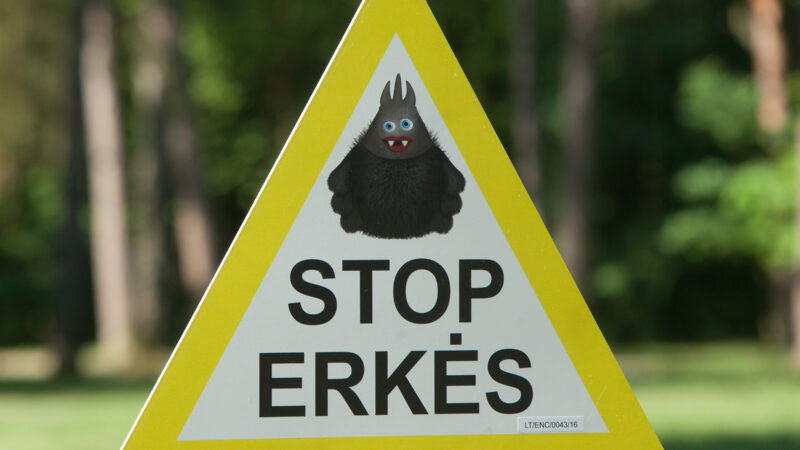 Nuo metų pradžios Lietuvoje užregistruota daugiau nei 340 Laimo ligos atvejų